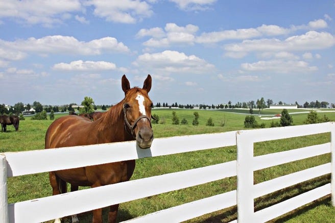 A Journey Through Bluegrass Country
