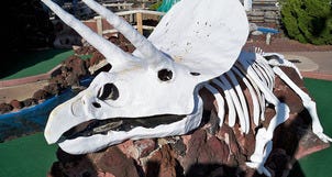 Nothing Extinct About Niagara's Dinosaur Adventure Golf