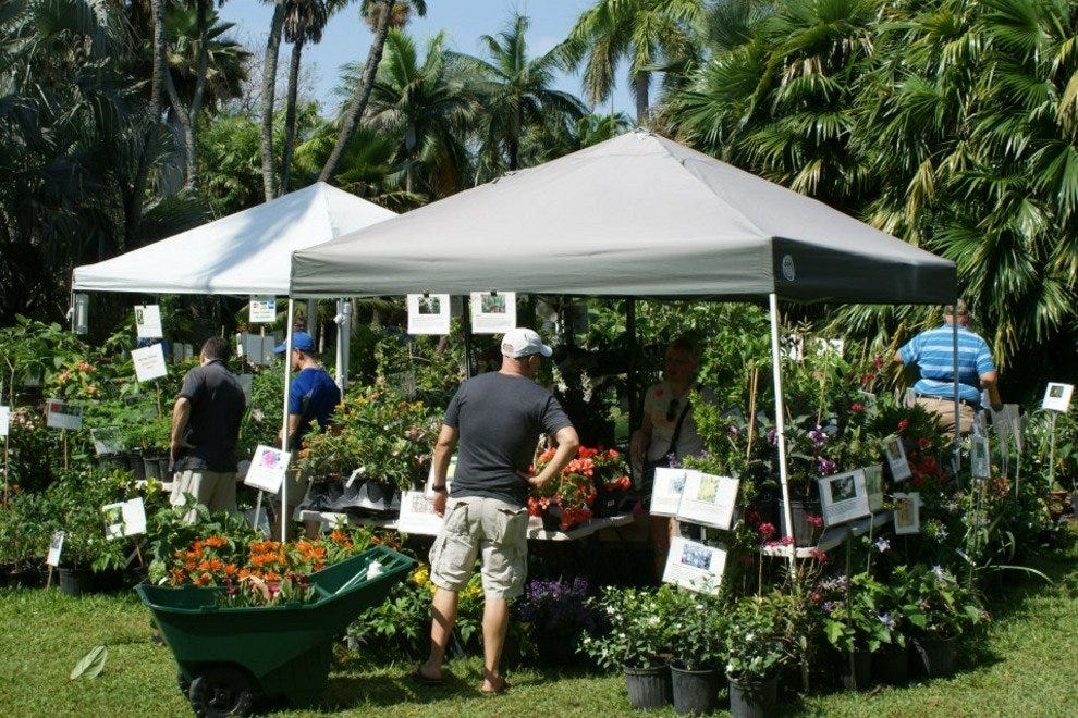 International Orchid Festival: Miami Attractions Review - 10Best