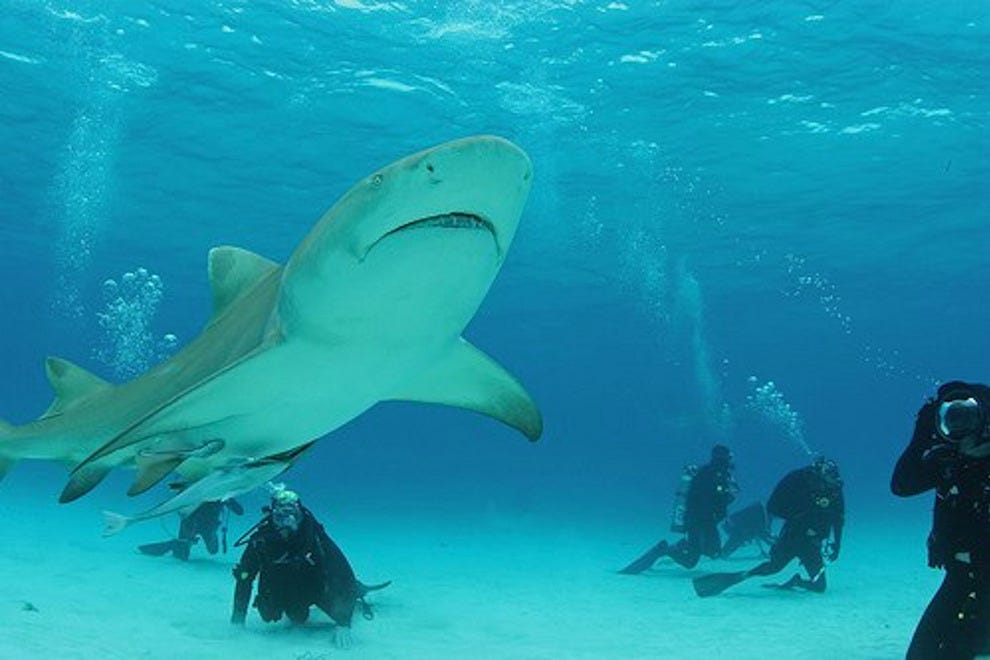 Aqua Windie's Aruba Attractions Review 10Best Experts and Tourist