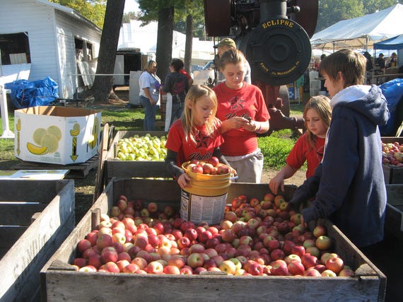 2. Picking Apples in Pennsylvania's Fruit Belt