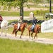 6. Take a Horseback Riding Tour