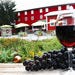 7. Wine Tasting