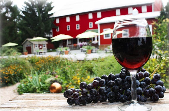 7. Wine Tasting