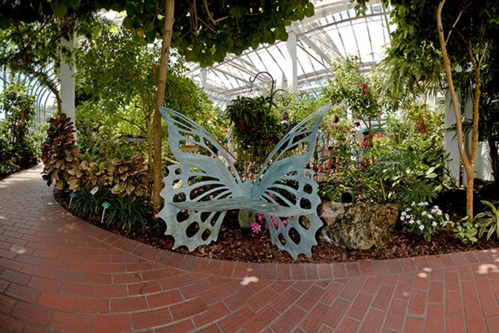 Coupon for butterfly conservatory key west