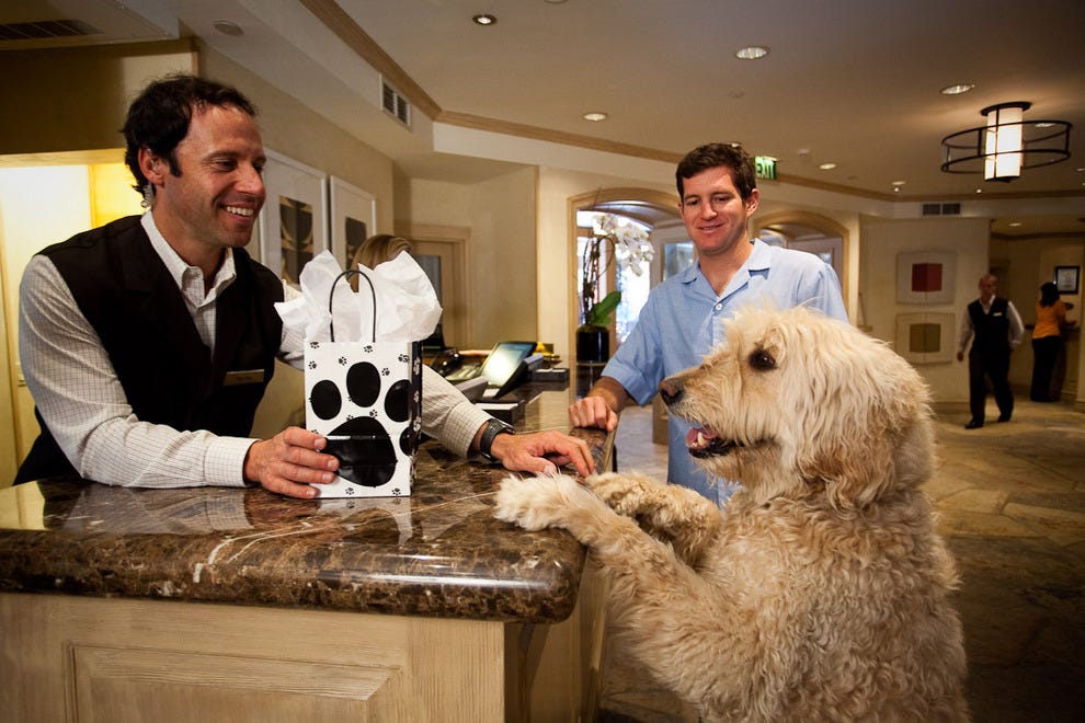 Best Pet Friendly Hotel Winners: 2013 10Best Readers' Choice Travel Awards