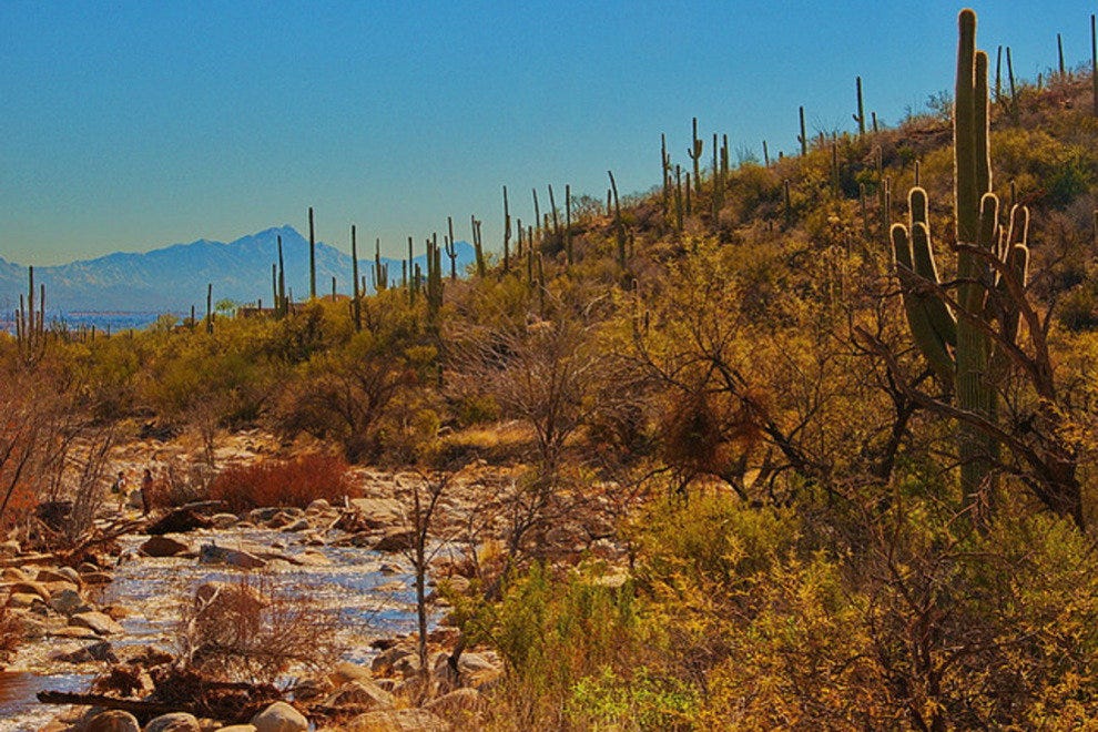 Sabino Canyon Tucson Attractions Review 10Best Experts and Tourist