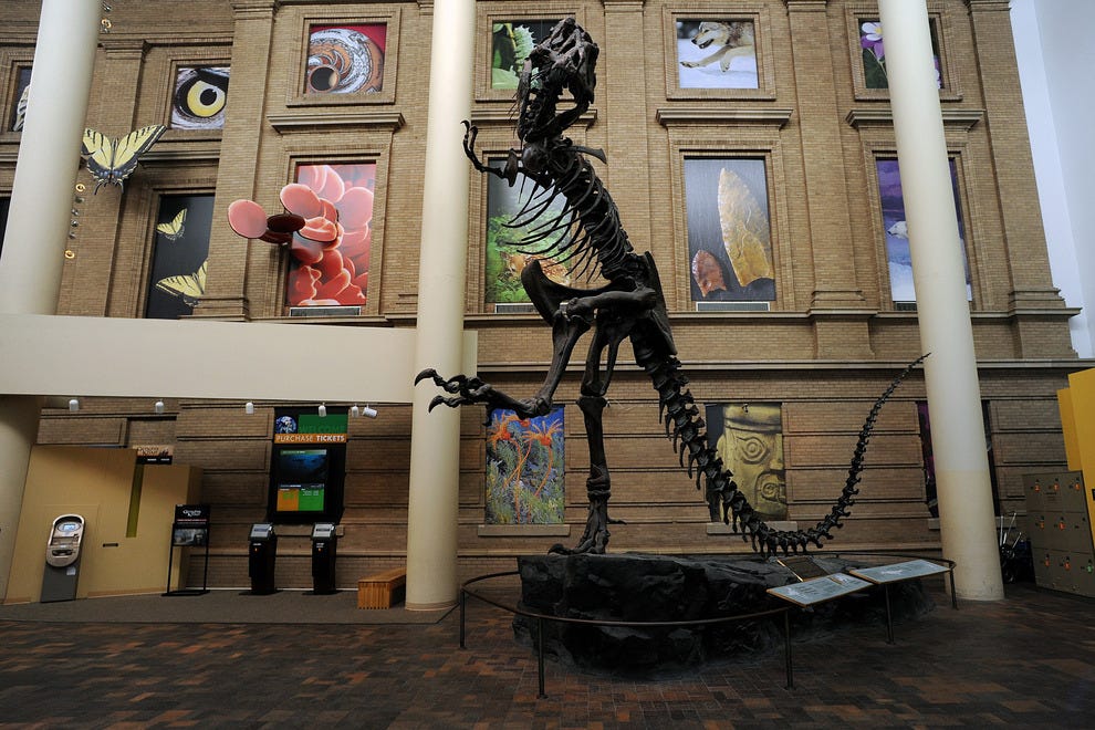 Denver Museum of Nature and Science Denver Attractions Review 10Best Experts and Tourist Reviews