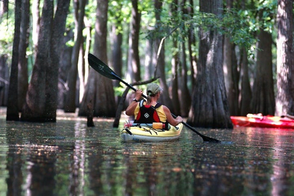Charleston Outdoor Activities 10Best Outdoors Reviews