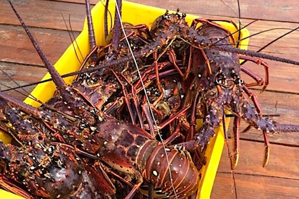 Aruba Seafood Restaurants 10Best Restaurant Reviews