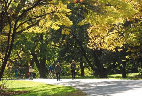Arnold Arboretum