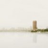 David Weinberg Gallery