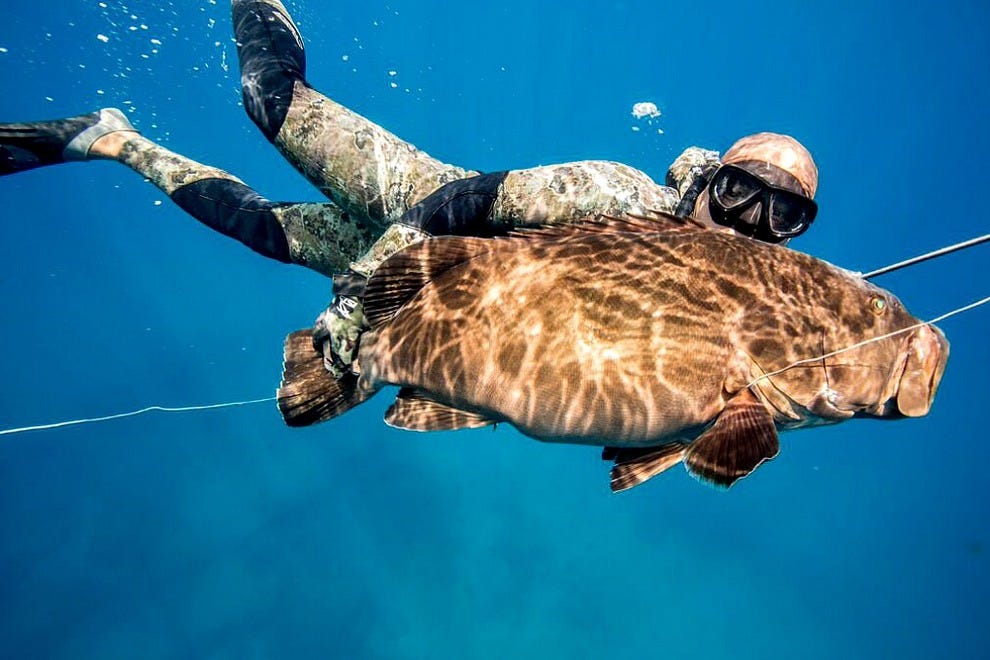 Cabo San Lucas Scuba Diving and Snorkeling 10Best Mexico Scuba Reviews