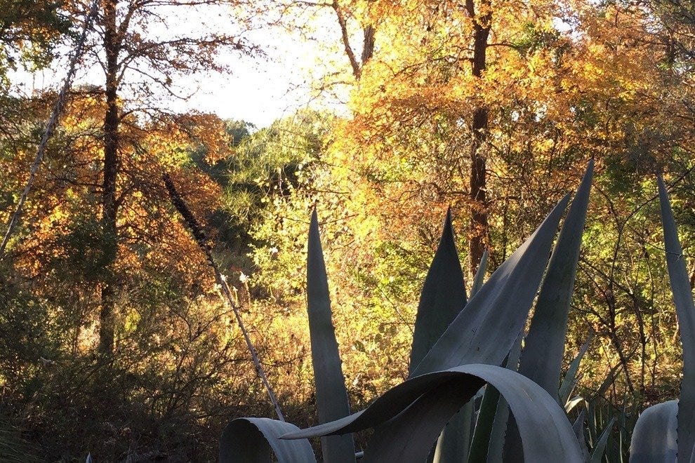 Austin Nature & Science Center Austin Attractions Review 10Best