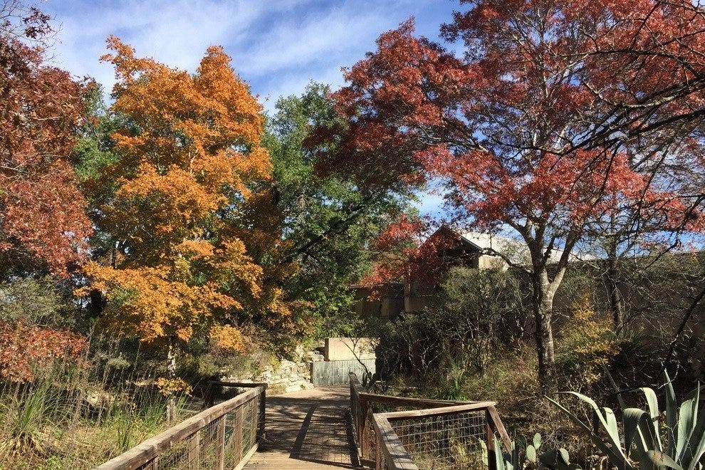Austin Nature & Science Center Austin Attractions Review 10Best