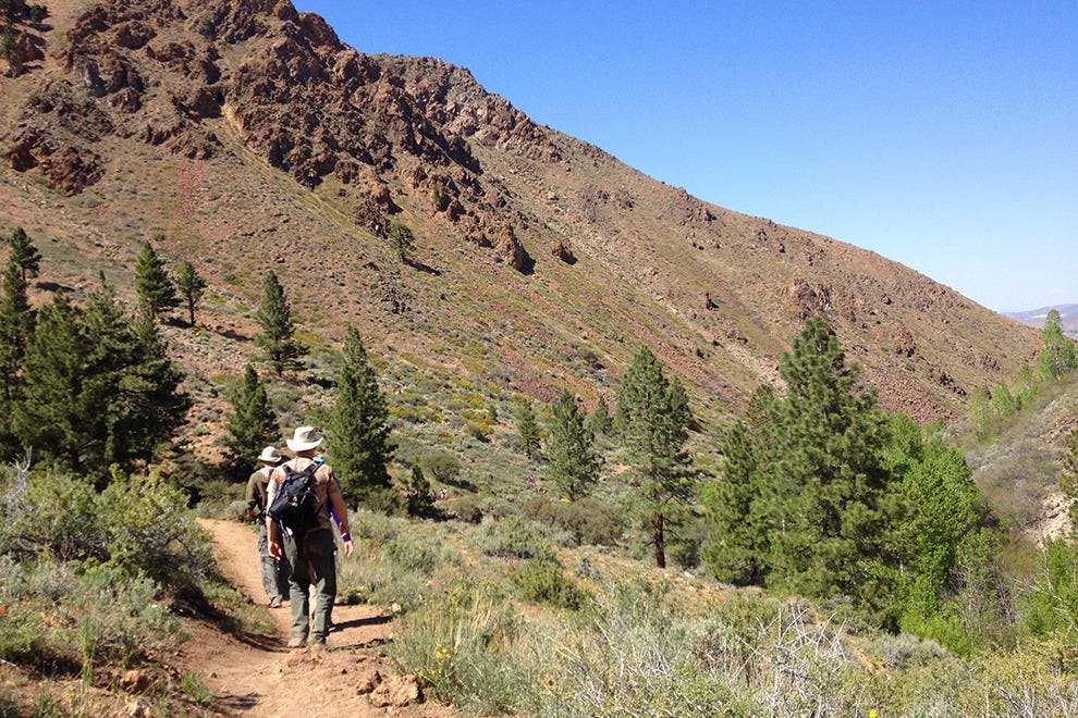 Hunter Creek Trail Reno Attractions Review 10Best Experts and