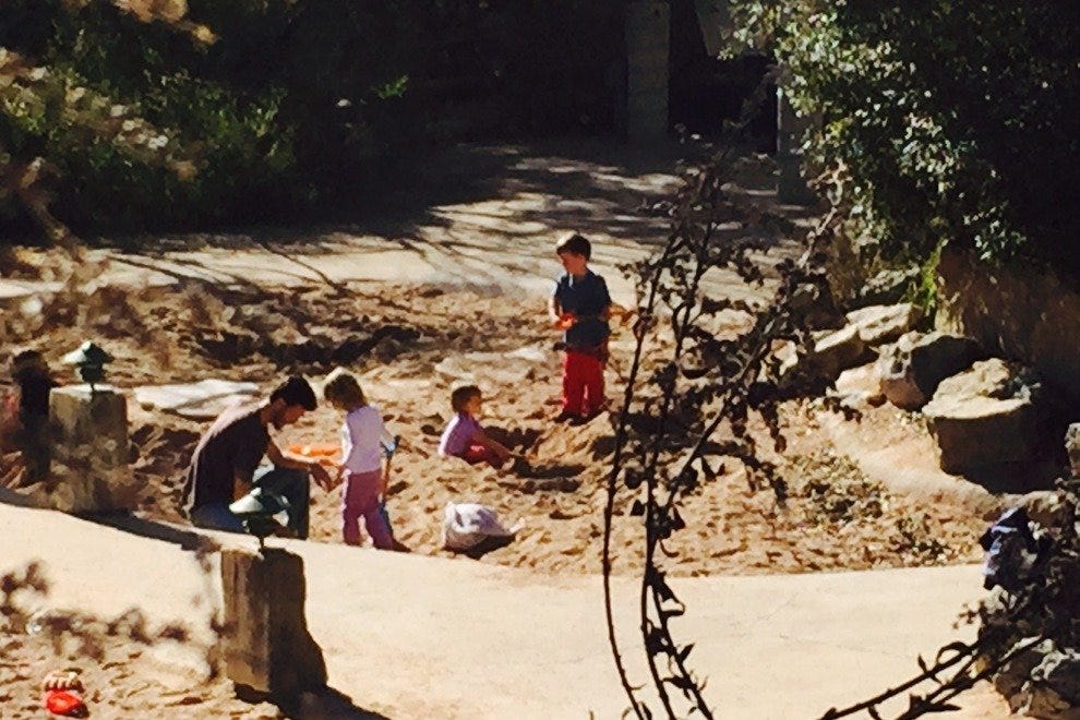 Austin Outdoor Activities 10Best Attractions Reviews