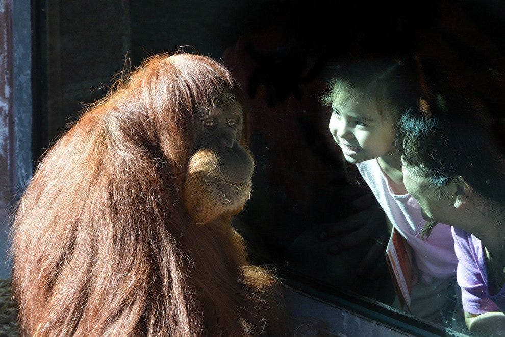 Denver Zoo Denver Attractions Review 10Best Experts and Tourist Reviews