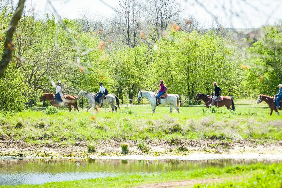 River Ranch at Texas Horse Park Dallas Attractions Review 10Best Experts and Tourist Reviews