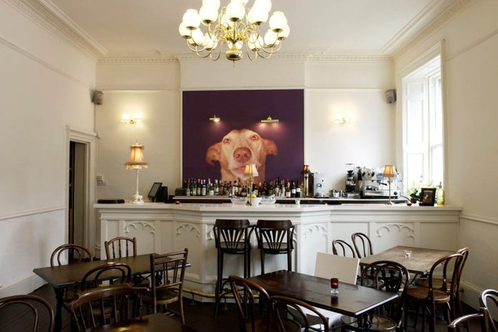 The Dogs Edinburgh Restaurants Review 10Best Experts and Tourist Reviews