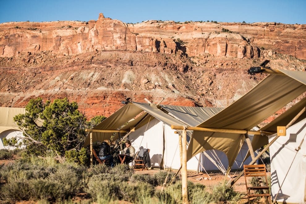 Best Pet Friendly Hotel Winners 2016 10Best Readers' Choice Travel Awards