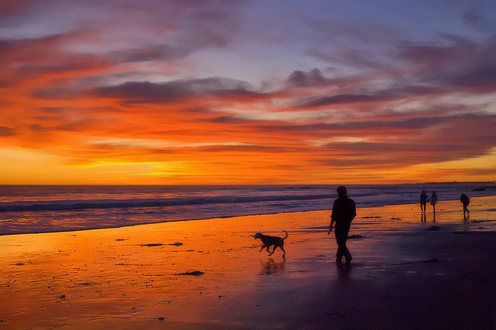 Vote Arroyo Burro Beach Park Best Dog Friendly Beach Nominee 2016
