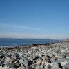 Discovery Park