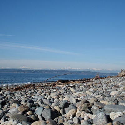 Discovery Park