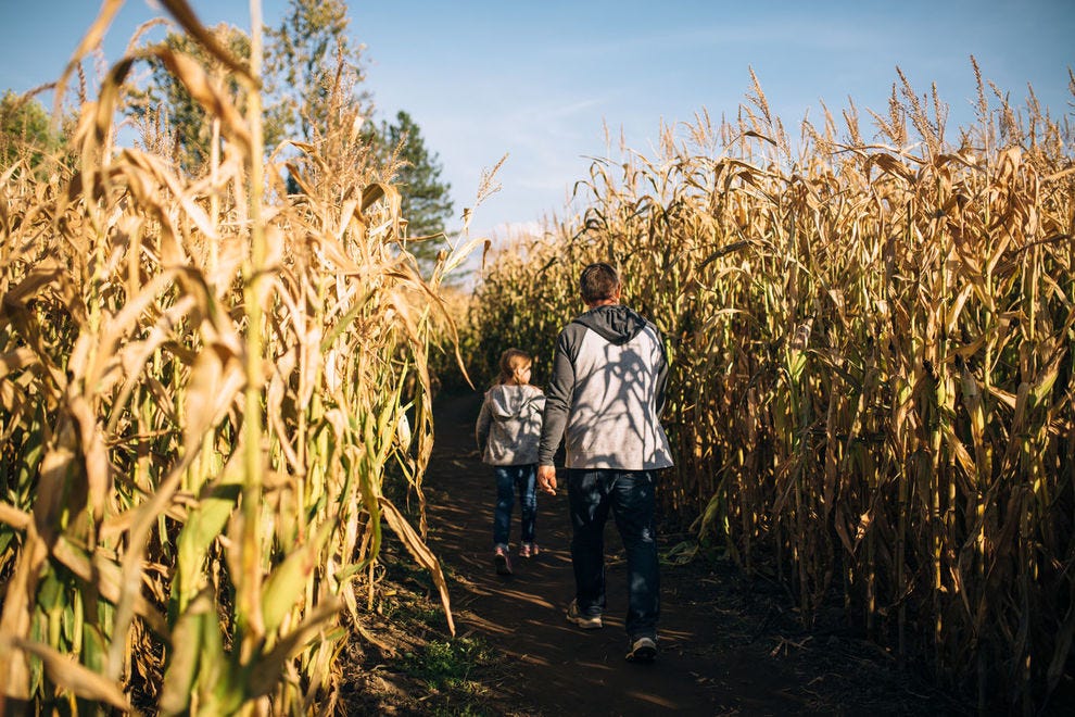 Uncle Shucks Pumpkin Patch and Corn Maze