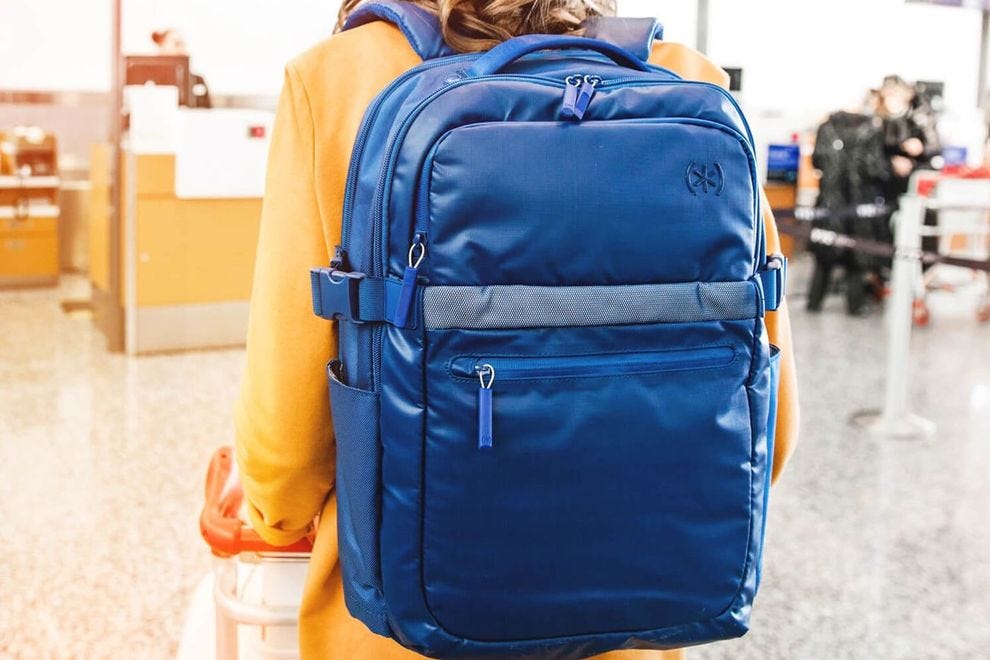 No. 4: Speck Travel Business Backpack