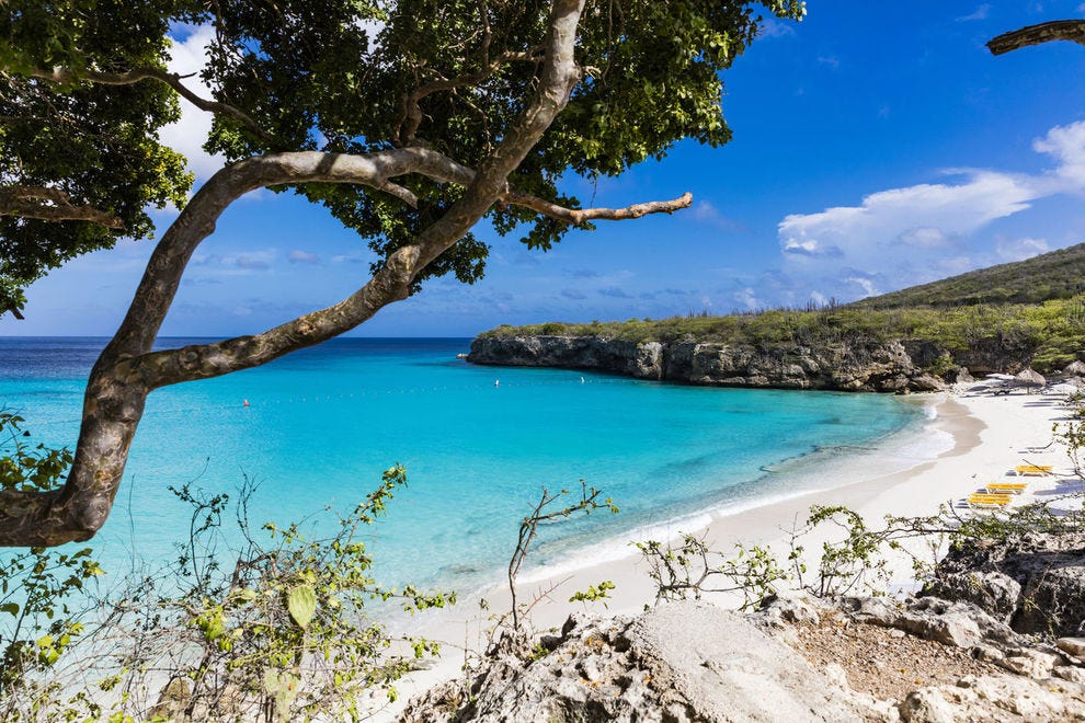 Grote Knip