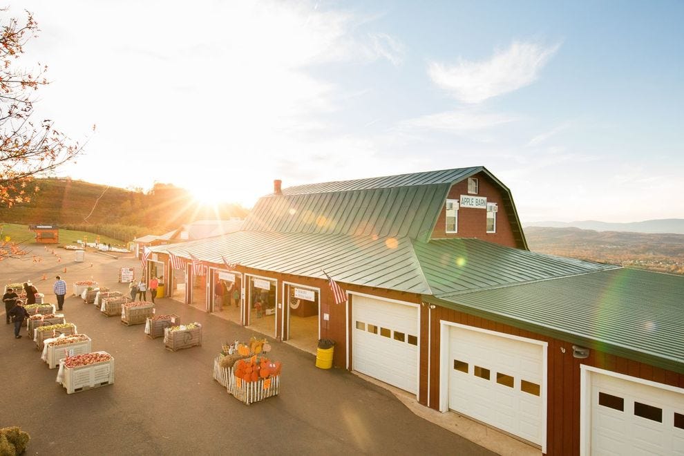 Carter Mountain Orchard