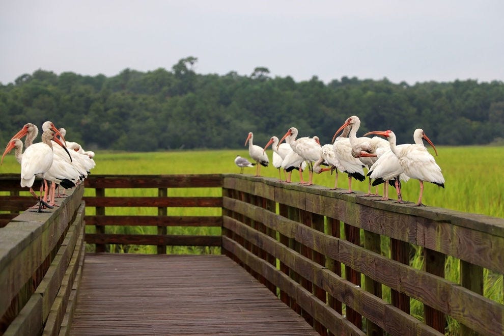 Huntington Beach State Park