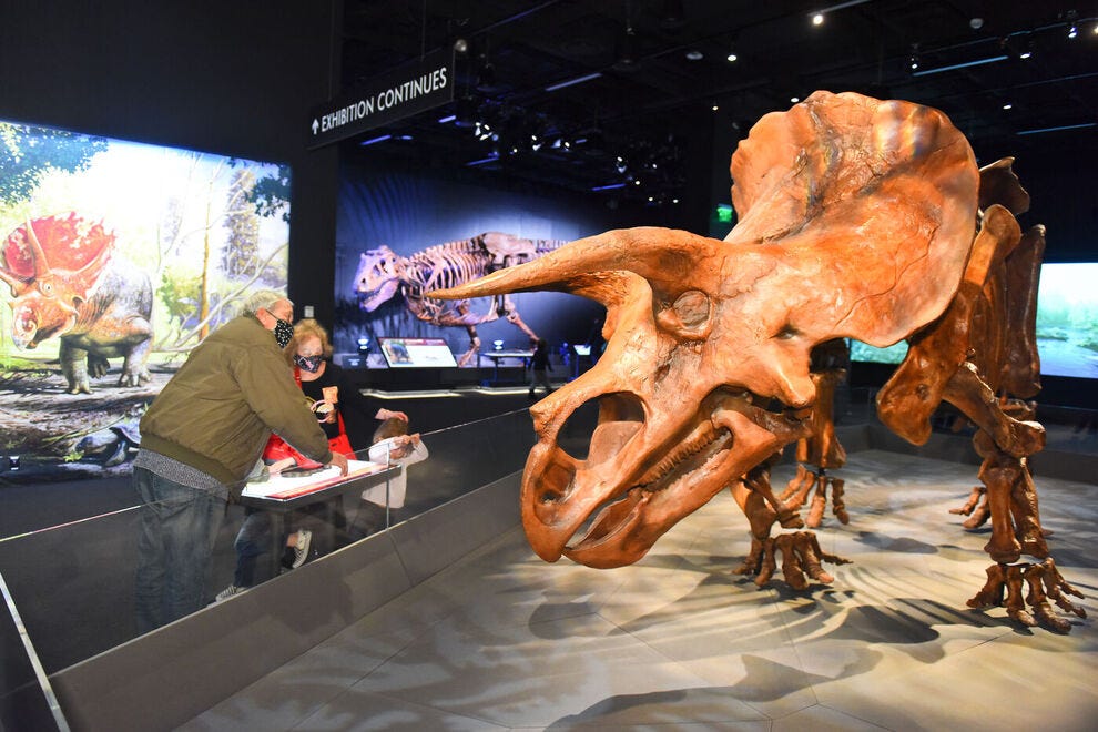 Denver Museum of Nature & Science