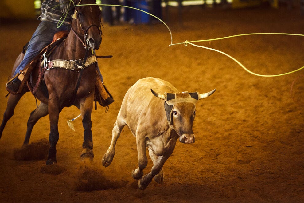 Ponoka Stampede