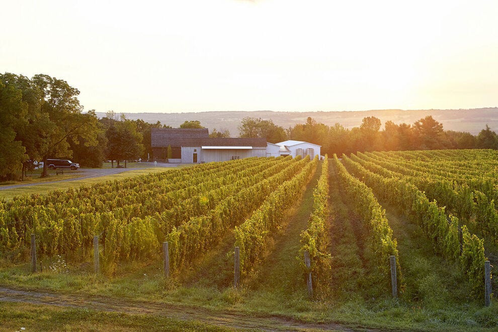 Hermann J. Wiemer Vineyard
