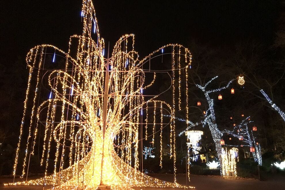 Wild Winter Lights at Cleveland Metroparks Zoo