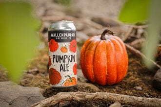 Best Fall Seasonal Beer (2023)