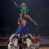 Equestrian themed entertainment is the feature at Arabian Nights in Orlando