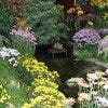 Lincoln Park Conservatory located in Chicago features flora and fauna.