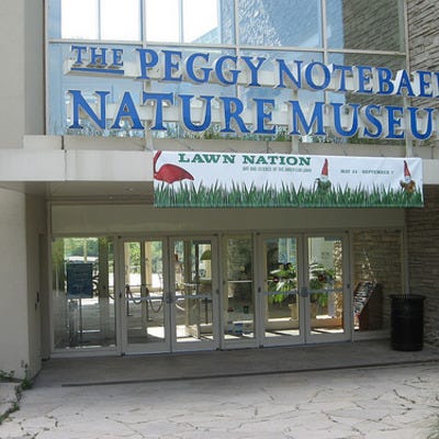 Chicago's Peggy Notebaert Nature Museum offers educational activities for adults and children.