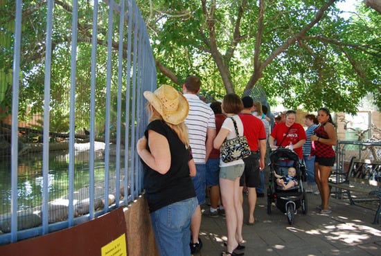 Tour the zoo, Southern Nevada Zoological-Botanical Park Las Vegas, NV