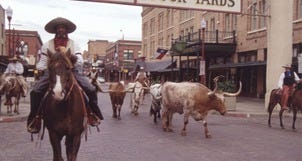 Stockyards