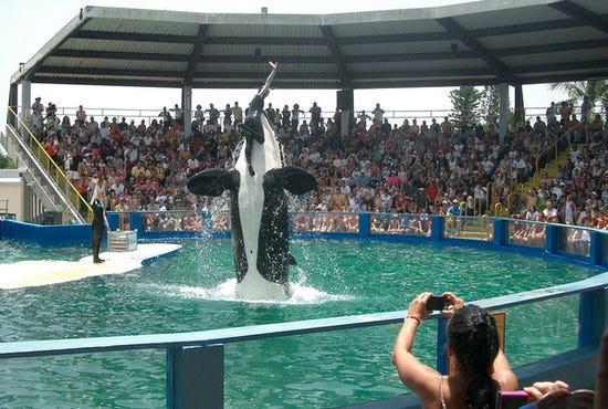 Florida-20090719-132024