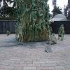 Holocaust Memorial