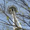 Through The Trees