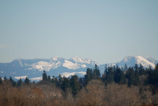 Marymoor Park 2008-02-18 (11 of 37)