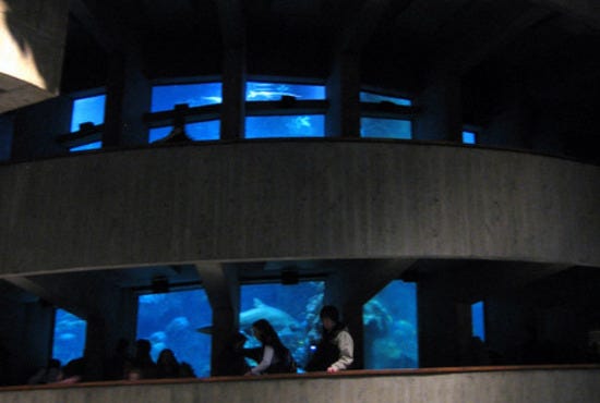 The Giant Ocean Tank