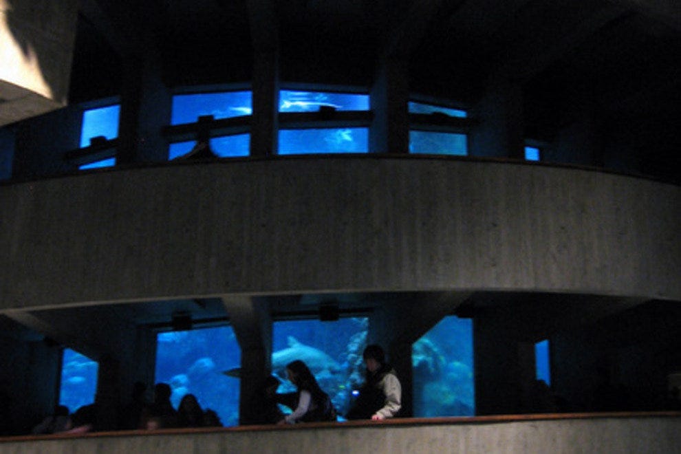New England Aquarium Boston Attractions Review 10Best Experts and
