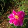 100_5150.JPG
